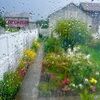argyma